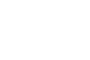 Logo Queen of Nature